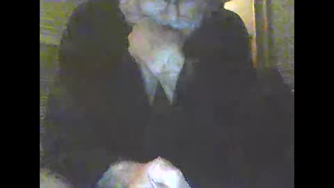 Snapshot of pigbear4trans chatting on December 2024 10:15:02 AM pigbear4trans online show from December 2024 10:15:02 AM