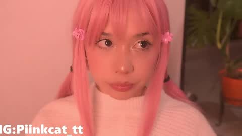 Snapshot of piinkcat chatting on April 2026 05:45:02 AM Emi online show from April 2026 05:45:02 AM