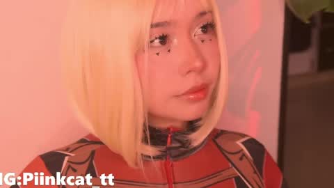 Snapshot of piinkcat chatting on April 2026 05:19:01 AM Emi online show from April 2026 05:19:01 AM