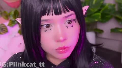 Snapshot of piinkcat chatting on July 2026 07:11:01 AM Emi online show from July 2026 07:11:01 AM
