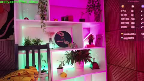 Snapshot of pika_pikaa chatting on December 2024 01:29:01 AM Sonya online show from December 2024 01:29:01 AM