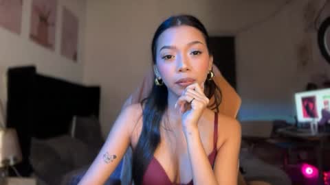 TINA online show from June 2026 12:19:01 PM