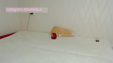 Snapshot of pink_pikachu_ chatting on March 2025 11:00:02 PM Pikachu pika online show from March 2025 11:00:02 PM