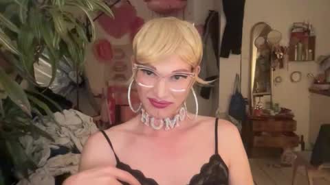 pinkfag online show from April 2026 03:17:02 PM