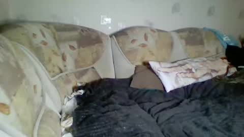 Snapshot of pinochetti chatting on January 2025 12:43:02 AM Incubus online show from January 2025 12:43:02 AM