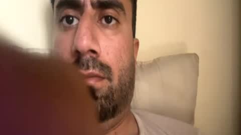 pipi144 online show from August 2026 11:15:02 AM