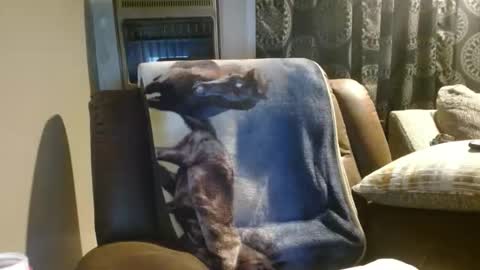 pirate334 online show from January 2026 04:38:02 AM