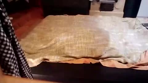 Snapshot of pisces922 chatting on January 2025 06:38:02 PM Dominik online show from January 2025 06:38:02 PM