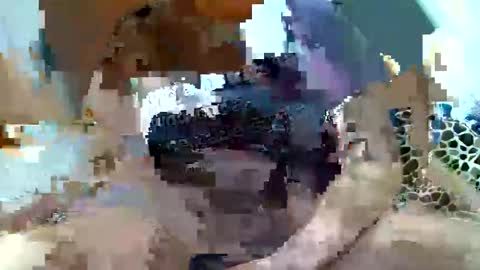 Snapshot of pislezg1 chatting on February 2025 11:45:01 PM pislezg1 online show from February 2025 11:45:01 PM