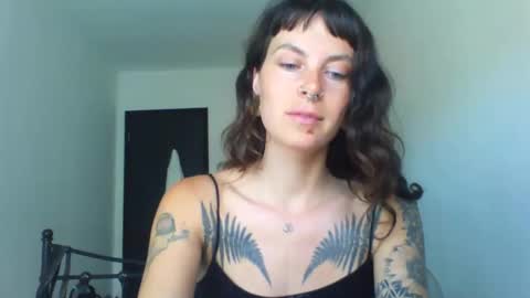 Snapshot of pixiecatfairy chatting on September 2025 12:16:02 PM pixiecatfairy online show from September 2025 12:16:02 PM