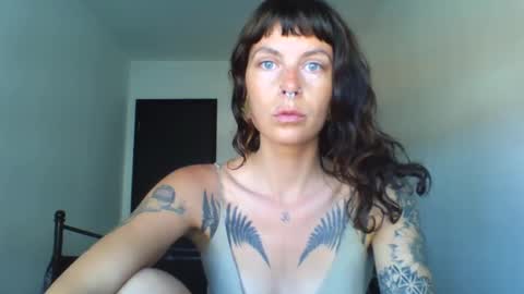 Snapshot of pixiecatfairy chatting on September 2025 11:14:01 AM pixiecatfairy online show from September 2025 11:14:01 AM