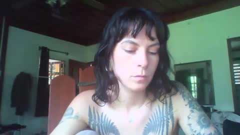 Snapshot of pixiecatfairy chatting on November 2025 06:24:02 AM pixiecatfairy online show from November 2025 06:24:02 AM