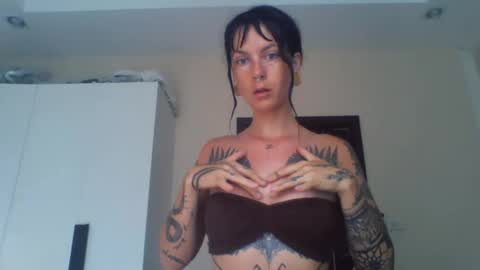 Snapshot of pixiecatfairy chatting on February 2026 02:53:02 AM pixiecatfairy online show from February 2026 02:53:02 AM