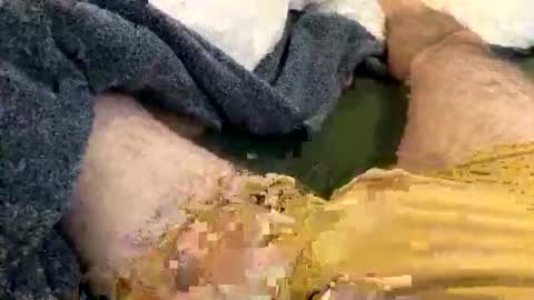 playful_hon online show from February 2026 03:10:02 PM