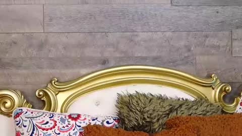 Snapshot of playfulsamy chatting on December 2024 10:02:02 AM PlayfulSamy online show from December 2024 10:02:02 AM