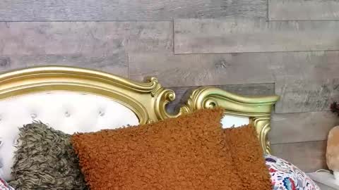 Snapshot of playfulsamy chatting on January 2025 11:30:02 AM PlayfulSamy online show from January 2025 11:30:02 AM