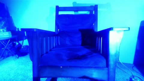 Snapshot of plush73 chatting on April 2026 11:08:02 PM StraightPlush online show from April 2026 11:08:02 PM
