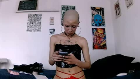    online show from May 2026 06:26:02 PM