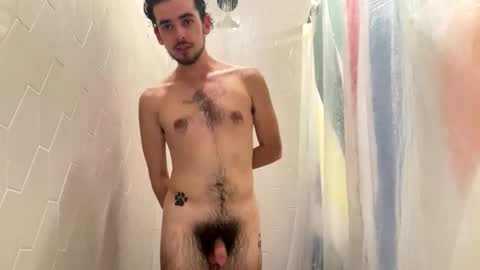 Snapshot of plutothepuppy chatting on November 2025 08:46:02 PM Pluto The Pup online show from November 2025 08:46:02 PM