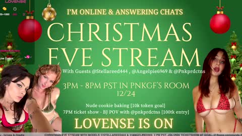 Snapshot of pnkgf chatting on December 2024 11:00:01 PM pnkgf online show from December 2024 11:00:01 PM