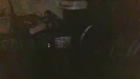 pnwbull25 online show from March 2026 09:32:02 AM