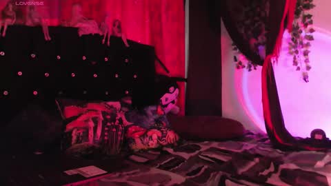 Snapshot of poison__luna chatting on February 2026 12:47:02 PM Luna online show from February 2026 12:47:02 PM