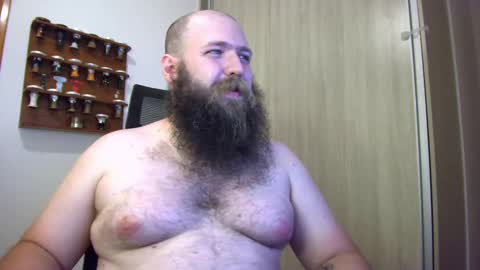 Bear online show from January 2025 01:36:02 AM