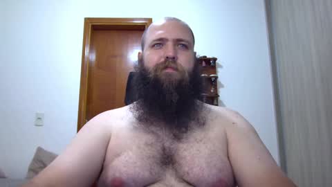 Bear online show from January 2025 04:15:02 AM