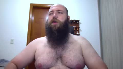 Bear online show from February 2025 02:17:02 AM