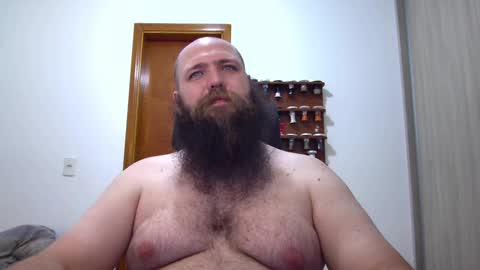 Bear online show from February 2025 03:37:02 AM