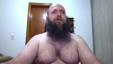 Bear online show from February 2025 02:15:01 AM