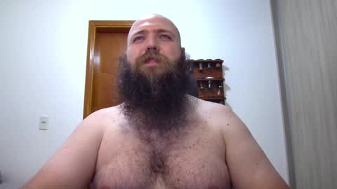 Bear online show from February 2025 03:22:01 AM