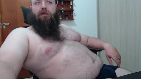 Bear online show from February 2025 07:04:02 AM
