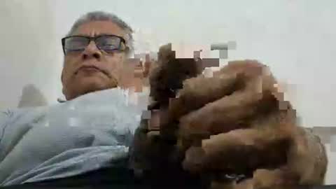 poli online show from May 2026 10:53:01 AM