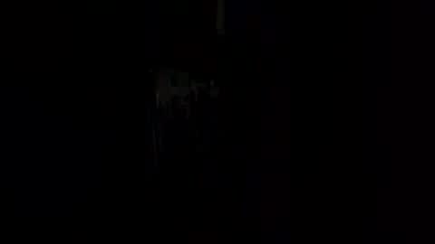 policees online show from June 2026 11:37:01 AM