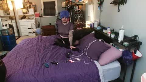 PolyCircus online show from November 2025 05:40:01 AM