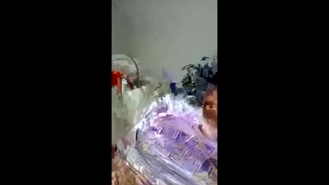 Snapshot of pompeche2 chatting on March 2026 08:42:01 AM pompeche2 online show from March 2026 08:42:01 AM