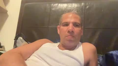 PONCH online show from June 2026 11:42:01 PM
