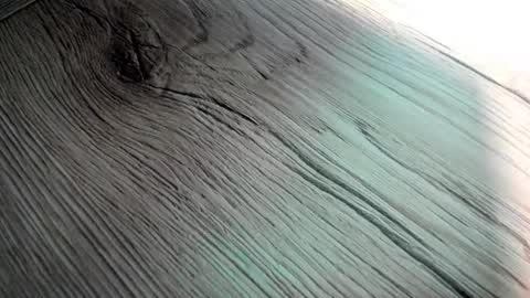 Snapshot of poorsaddest2 chatting on September 2025 08:03:01 AM poorsaddest2 online show from September 2025 08:03:01 AM