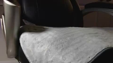 Snapshot of poppyntx chatting on February 2026 03:36:02 AM poppyntx online show from February 2026 03:36:02 AM