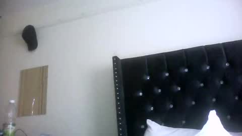 Snapshot of pork_sword3rdleg chatting on October 2025 09:10:01 AM THE AMAZON DICK online show from October 2025 09:10:01 AM