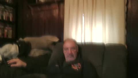 porkingit400 online show from November 2025 01:45:02 PM