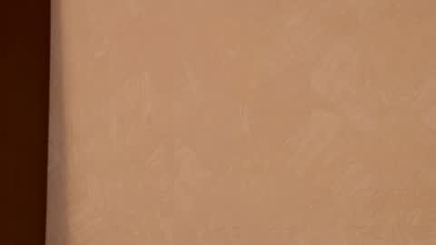 Snapshot of posh_lady chatting on October 2025 11:06:02 PM LADY POSH online show from October 2025 11:06:02 PM