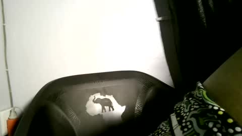 luna online show from April 2026 03:48:01 AM