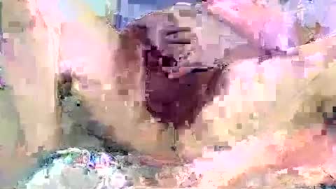 Snapshot of poundittt chatting on September 2025 02:22:02 AM dikud0wn online show from September 2025 02:22:02 AM