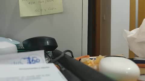 ppillo online show from November 2025 10:48:01 PM