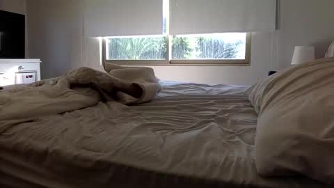 ppsmall_17 online show from February 2026 11:57:02 AM