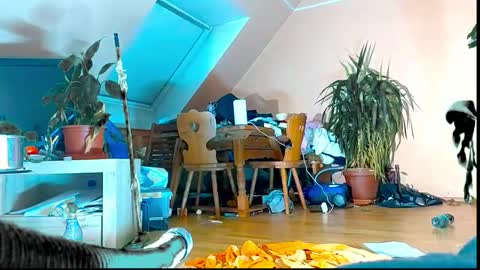 pr1ncess_cassy online show from February 2026 12:40:02 AM