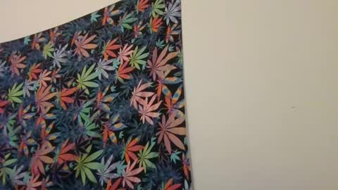 Snapshot of presidentialbryana chatting on January 2025 06:09:02 AM Libra Lamont online show from January 2025 06:09:02 AM