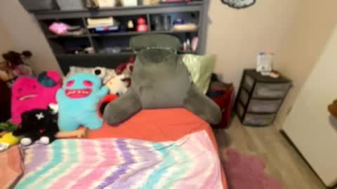 stacy online show from February 2026 04:48:01 PM